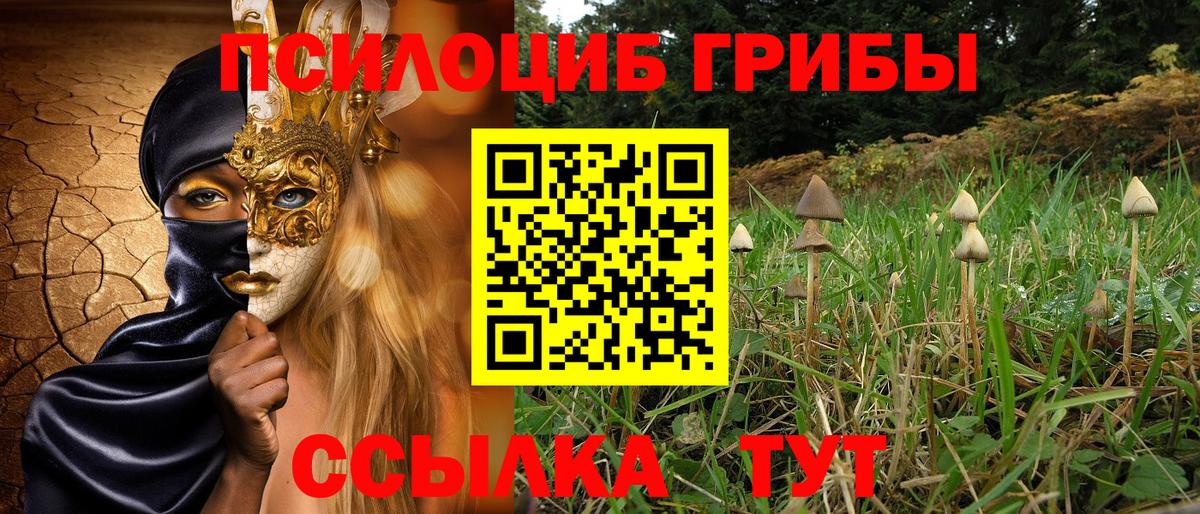 Галлюциногенные грибы Magic Shrooms Орёл