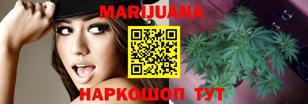 Бошки марихуана гибрид  Каннабис AK-47  Марихуана White Widow  Бошки марихуана SATIVA & INDICA  Орёл  Вход с VPN 
